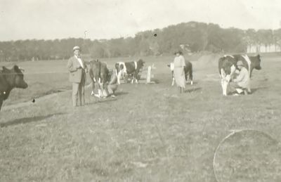 Melken in de Oude Bullewijk , ter hoogte van J. Buts (1923)
Op de foto Lucas Langedijk.
