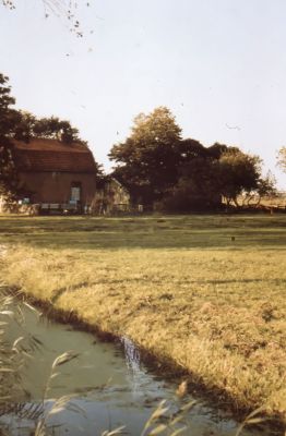 Gezicht op de boerderij van C. Brouwer
