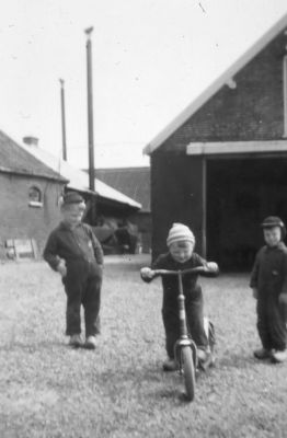 Op het erf van "Knorrenburg"
v.l.n.r Adrie Verburg, Sjabbo Verburg en Aard van de Broek.
