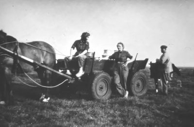 De melkwagen van Hesp
