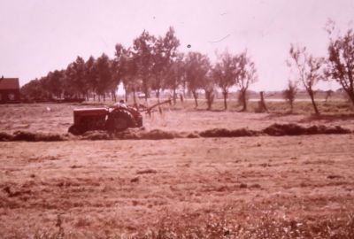 Ad Hesp aan het opwieringen van gras
