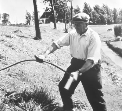 Gijs den Hartog aan het maaien voor zijn huis (1956)
Met op de achtergrond boerderij " Ruimzicht " van Gijs Beukeboom.

