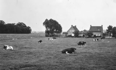 *** locatie onbekend ***
Indien u weet waar dit is gaarne als commentaar toevoegen.
