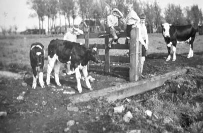 Kinderen op de boerderij van B. Hogenhout
