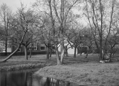 Boerderij van Freek Schoenmaker aan de Middenweg
Gezien vanaf de Amstelweg. R. Zielstra was hier boerenknecht.

