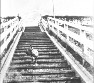 De trap tegen de hoge brug
Deze werd gebruikt als men lopend of fietsend naar Weesp ging.
