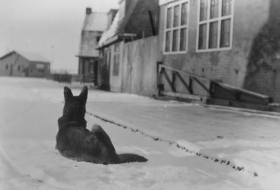 Burgemeester Bletzstraat met aan het eind rechts de woning van G.J van Beek
De houten keet was in de oorlog 40/45 de werklozen keet waarin moest worden gestempeld. De keet wordt wordt hier gebruikt door de Kruisvereniging het Witte Kruis.
