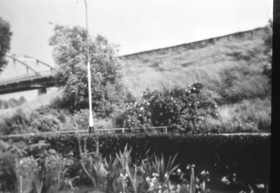 Gezicht op het talud van de Provincialeweg (1959)
Vanaf de Burgemeester Mulstraat
