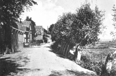 De Lange Stammerdijk
