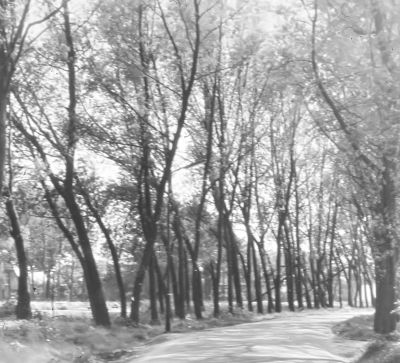 In het Gein, voorbij Altena (18-05-1970)
