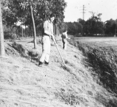 Hooiharken aan de Geinkant (06-08-1962)
Op de voorgrond Henk Wisse.

