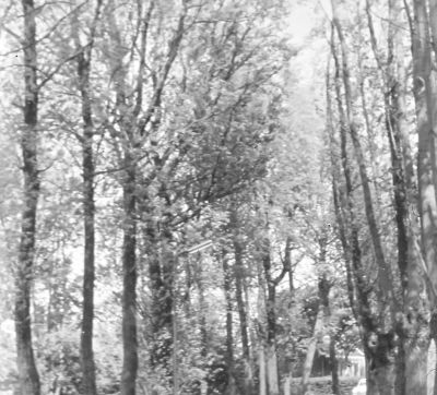 In het Gein, in de bocht tussen het "Hutje" en P. de Vries (18-05-1970)
"Genoegen is t'al"
