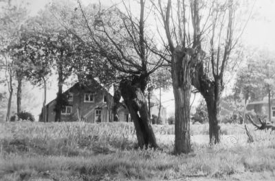 Gezicht naar Gein zuidkant (18-05-1970)
Links de boerderij van P. Eikelenboom en rechts die van Kees de Graaf.
