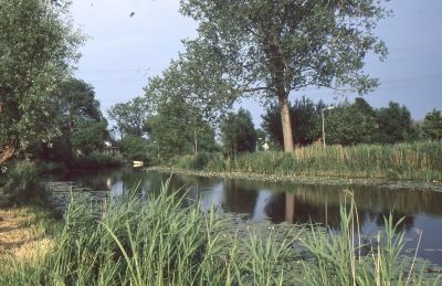 Gezicht op het Gein, vanaf boerderij "Gein en Stein"
Richting Driemond.

