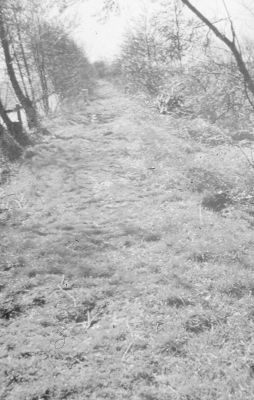 Hollandsche Kade
Rond de Broekzijdse polder werd een kade aangelegd om het ontgonnen land te beschermen tegen wateroverlast van de nog niet ontgonnen Bijlmerhoek. De Noordgrens van de polder kwam daar te liggen waar de kolonisten stuitten op de ontginning die langs het Gein vanuit Weesp was aangevat. Dit deel van de Hollandsche kade heette in het verleden "Ruwielswal". De Hollandsche kade vormde in Middeleeuwen de grens tussen het Graafschap Holland en het Bisdom Utrecht. Later is het provincie grens geworden tussen Noord-Holland en de Utrecht. 

