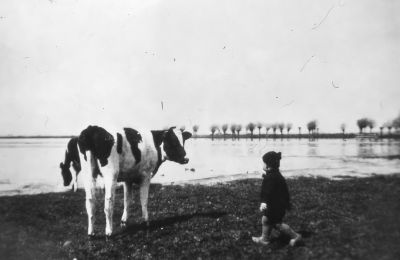 op het erf bij W. van de Marel jr.
Op de achtergrond de Hollandsche kade, zomer 1944, inundatie oorlog 40/45.
