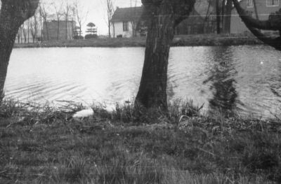 Gezicht op Hoogenhoud vanaf de noordzijde
