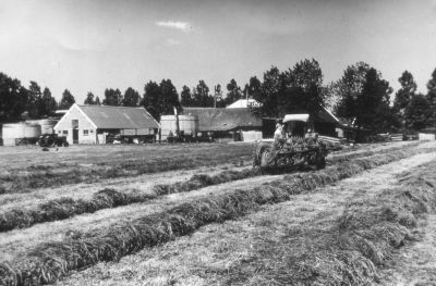 Ruwvoederwinning (kuilgras) op boerderij "Oostgein"
