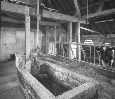 Boerderij "Starnheim"
Midden op de deel staat de gemetselde stroombak, waarin melkbakken (bussen) koelgehouden worden. De stroombak had weer een overloop naar de twee voergoten die voor het vee langsliepen, om de dieren te laten drinken. Het water in de stroombak komt uit het Gein.

