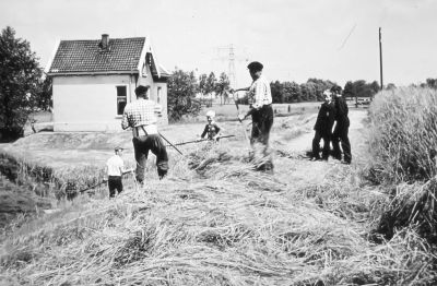 Het " Kruithuis "
Het " Kruithuis ", magazijnen reeds afgebroken. Bij de aanleg van de       
               Abc.straatweg, werd de weg aangelegen dwars door het menutie 
               depot.
               Loodsen en magazijnen werden van elkaar gescheiden om de weg
               te maken. Op de dijk aan de overkant van de Bijlmerringkade aan 
               het hooien, v.l.n.r Henk Nagel en Jan Angel.

