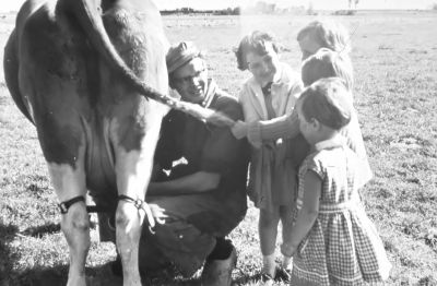 Melken bij Henk Nagel,
Melken bij Henk Nagel, melker Ubels, kinderen Mol.
