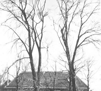 Boerderij "Klein Bethlem",
Boerderij "Klein Bethlem", geboorte plaats van Mw. Spelt, zie verder.
