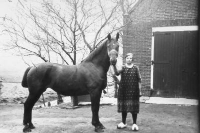 Boerderij "Klein Bethlem"
Boerderij "Klein Bethlem", dekhengst "Casimir".
