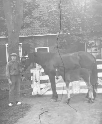 Boerderij "Klein Bethlem",
Boerderij "Klein Bethlem", P. Grootendorst met paard en veulen.
