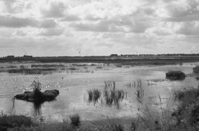 Zandopspuiten Bijlmermeer, "Poppenhuizen".
Zandopspuiten Bijlmermeer, met op achtergrond de "Poppenhuizen".
