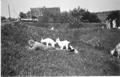 Huizen, Hoge Bijlmer, Spelt.
Begin huizen op de Hoge Bijlmer , (Diemerkant), op de voorgrond Jan Spelt.

