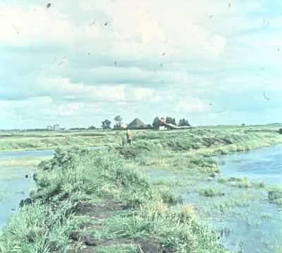 Tussen de dijken van de opspuiting
Op de achtergrond de boerderijen van Co Roeleveld en Bas Kooperdraad.
