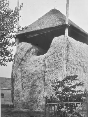 Hooiberg bij Klaas Nagel
Dit was een hoge smalle pijpelaar. Het hekje op de voorgrond was de erfafscheiding met " Land en Vischlust ", toen van Wout Nagel. Klaas Nagel had hier het recht van overpad op.
