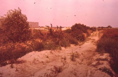 Zandopspuiting Lage Bijlmer
We staan hier op de plek waar links de boerderij van Klaas Nagel stond, met rechts het bruggetje en vooruit het vrijers laantje naar de arbeiderswoning “ Kijk uit “.
