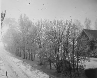 Het pad naar boerderij " Weltevreden " (Winter 1962-1963)
Rechts de boerderij van J. Kruiswijk.
