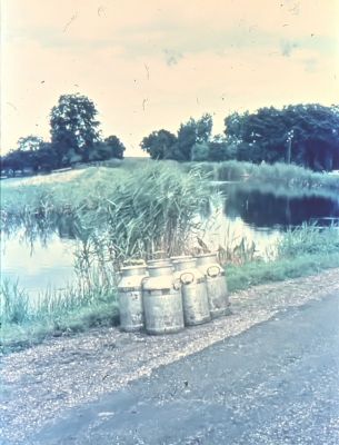 Voor de bocht bij van Blokland in de Lage Bijlmer de melkbussen van Joost Kruiswijk
Kruiswijk had maar 1 kamp land achter boerderij “Bijlmerzicht”.
Op de foto: links bomen van Hopman, midden kastanje boom bij H.A. de Jong, rechts bomen bij Van Blokland.
