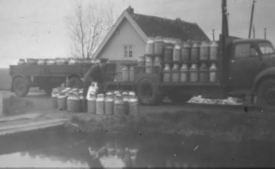 Bep den Hartog aan het melkladen bij Jaap Staal van boerderij "Over Bijlmer" (eind 1950)
Op achtergrond P. Bon .
