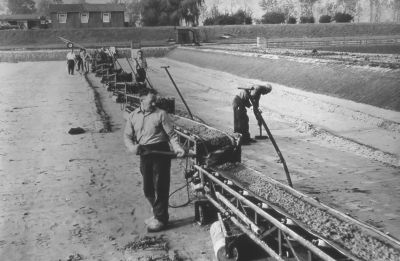 De Amsterdamse Waterleiding, het opschonen van de bezinkbakken
