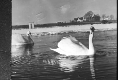 De Amsterdamse Waterleiding, winter 1962-1963
