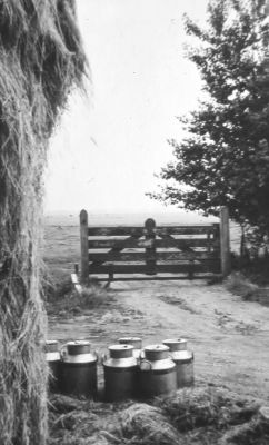 Stilleven op boerderij "Langerlust"
