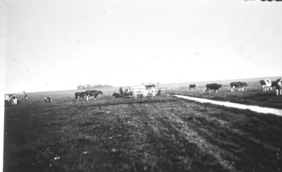 Melken bij het zwarte hek (buitenland) familie de Wildt
