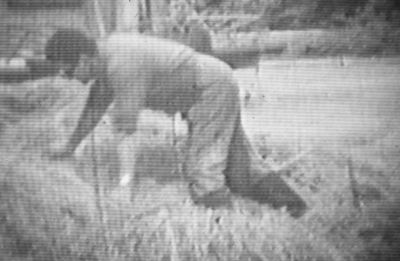 Boerderij "Nationale Uitgestelde Schuld"
Hooilossen met de grijper, op het voerhooi K. Vogel Jr.
