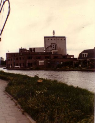 P. Sluis, fabriek pluimvee-, vee- en vogelvoeder 
De sloop is begonnen. Foto vanaf het Zandpad genomen.
Keywords: Geinbrug;Driemond;Sluis,pluimvee;vee;vogel;voeder