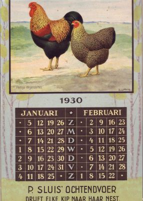 P. Sluis, fabriek pluimvee-, vee- en vogelvoeder 
Kalenderblad van de kalender uit 1930. Weer met een (ditmaal de 'Patrijs') Wyandotte.
Keywords: Geinbrug;Driemond;Sluis,pluimvee;vee;vogel;voeder;reclame