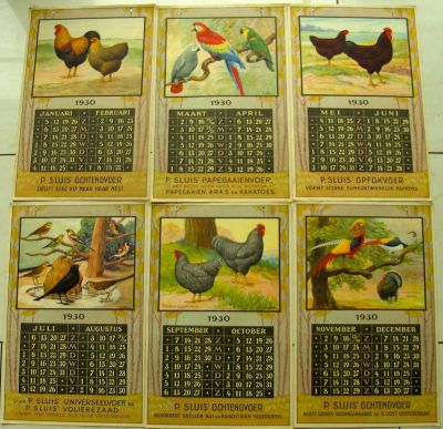 P. Sluis, fabriek pluimvee-, vee- en vogelvoeder 
De totale kalender 1930, met bovenaan links de Patrijs Wyandottes.
Keywords: Geinbrug;Driemond;Sluis,pluimvee;vee;vogel;voeder;reclame