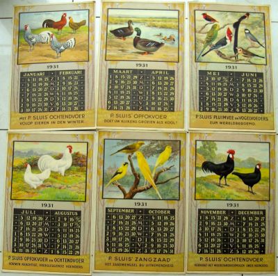 P. Sluis, fabriek pluimvee-, vee- en vogelvoeder 
De (witte) Leghorn is het derde ras waarnaar een straat is vernoemd.Hier wordt hij op de kalender van 1931 afgebeeld (links onder). 
Keywords: Geinbrug;Driemond;Sluis,pluimvee;vee;vogel;voeder;reclame