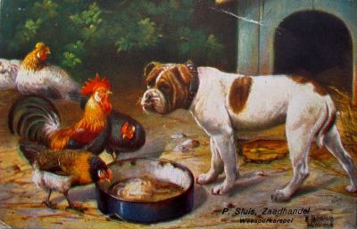 P. Sluis, fabriek pluimvee-, vee- en vogelvoeder 
Ansicht  Sluis, wederom van E. Dorno
Keywords: Geinbrug;Driemond;Sluis,pluimvee;vee;vogel;voeder;reclame;Dorno