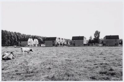 Seizoenenhof
Foto genomen over velden waar nu de Maanhof ligt. Achter de bomenrij links ligt de Kanaaldijk West.
Keywords: Seizoenenhof;Geinbrug;Driemond