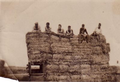 Niesing
Niet alleen schip en paard en wagen, maar nu ook vrachtauto's voor het vervoer. Onbekend wie er op het stro liggen.
Keywords: Geinbrug;Driemond;Gaasperdam;Ringsloot;Niesing;hooi;stro;Lange Stammerdijk