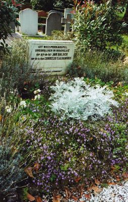 Begraafplaats Driemond
Graf(herdenkings)steen voor Jan Balder en Cornelis Damhuis, beide ingezetenen van Weesperkarspel, in Indonesië gesneuveld in 1947 en 1949.
Keywords: Geinbrug;Driemond;brandweer;politie;begraafplaats Driemond;Balder;Damhuis