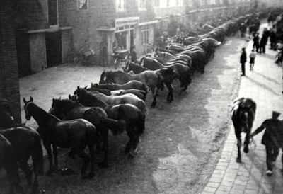Burgemeester Bletzstraat
close-up foto GOK005
Keywords: Burg.Bletzstraat;mobilisatie;WOII;boeren;paarden;Weesperkarspel